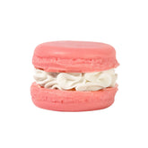 Jumbo Macaron Soap